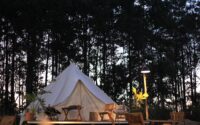 Fra telte til trætoppe: Unikke glamping-oplevelser på falster